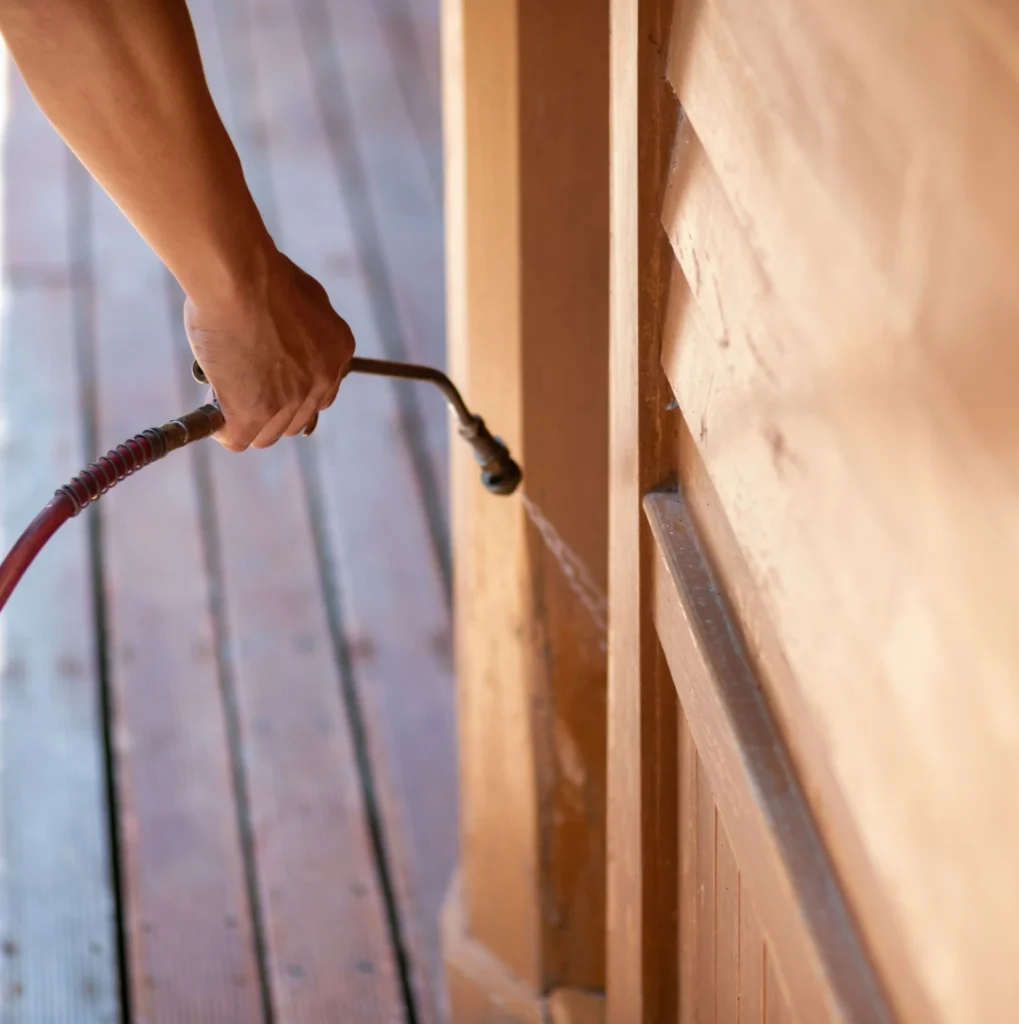 Trusted Pest Control - East Meadow Pest Control Pros | East Meadow, NY